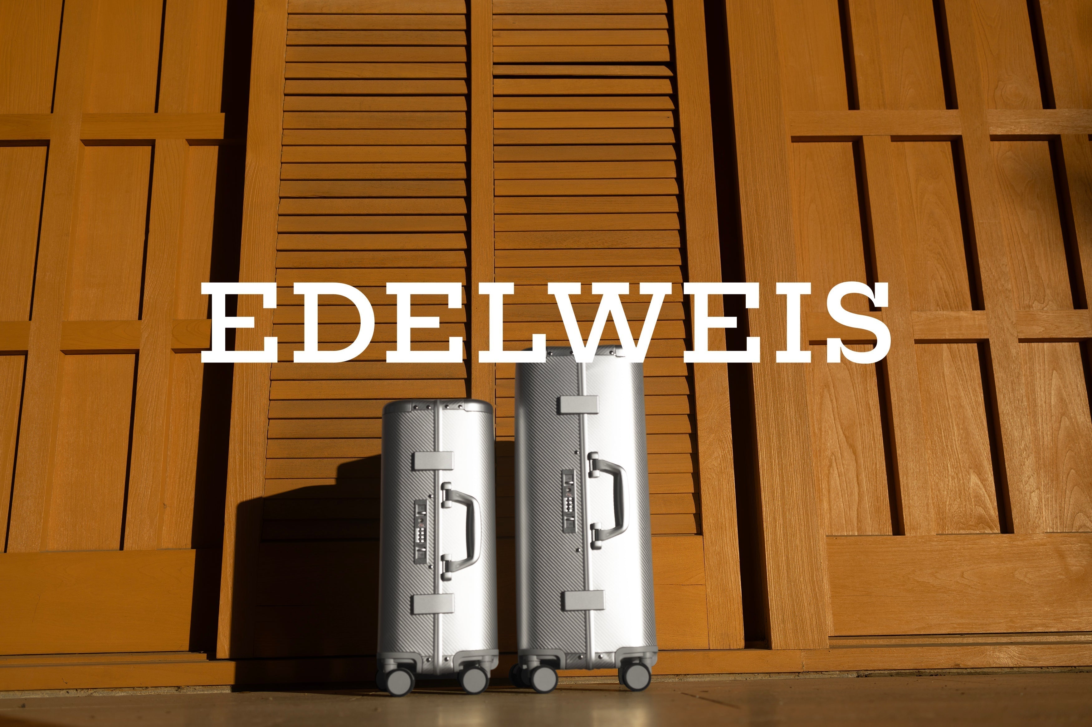 two suitcases in a scenic wood background 