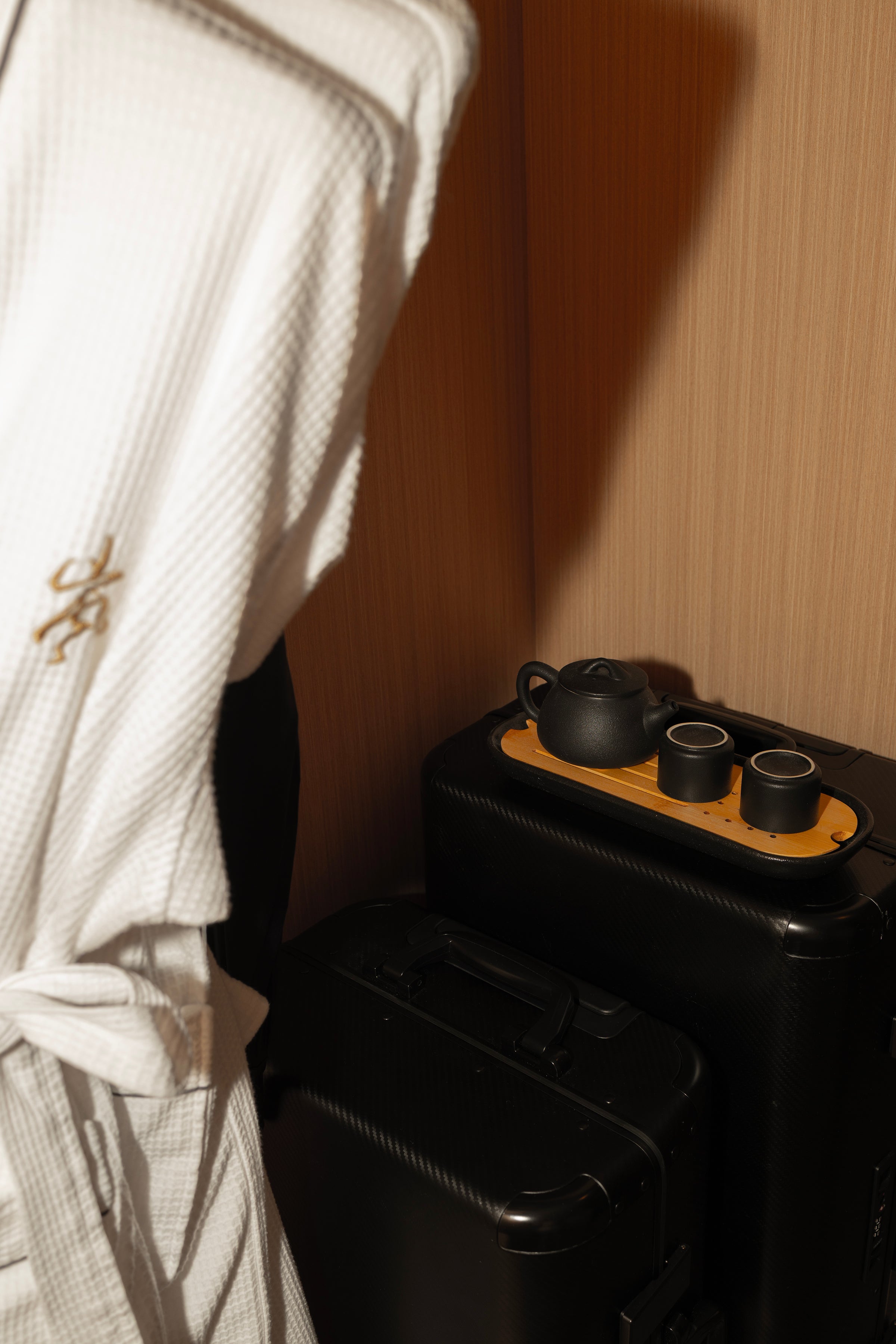 Luxury Luggage Storage Guide: How to Preserve Premium Materials Between Travels