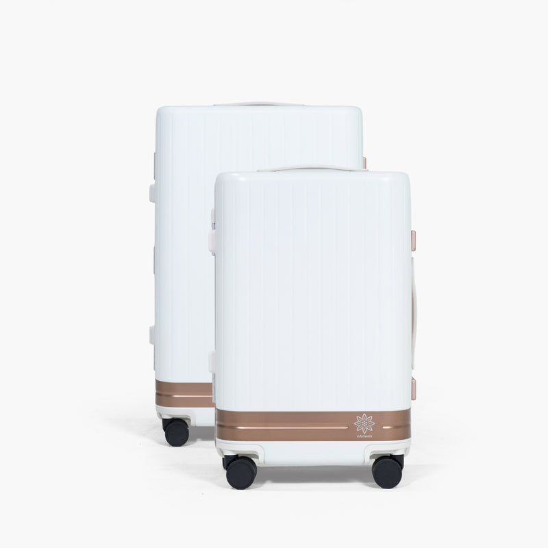 Apogée Combo Luggage